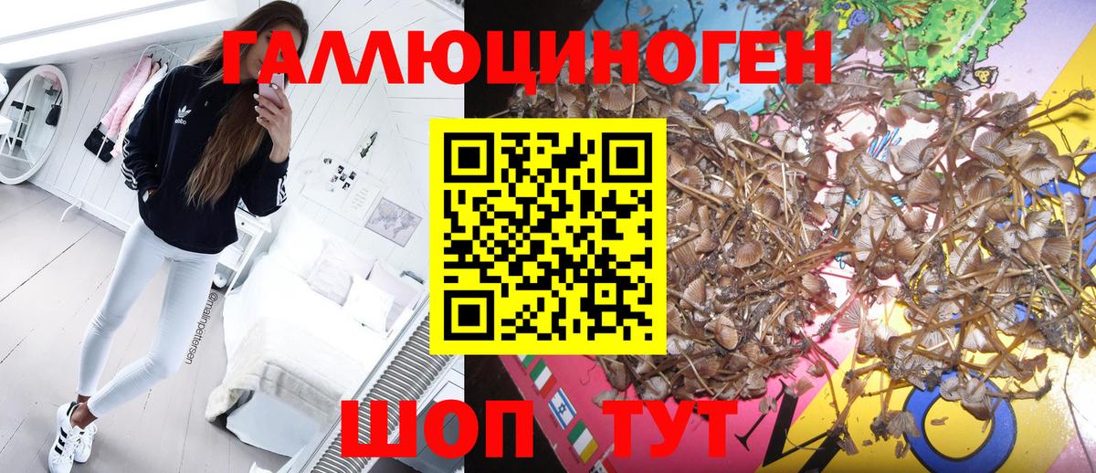 Галлюциногенные грибы мухоморы Курчалой